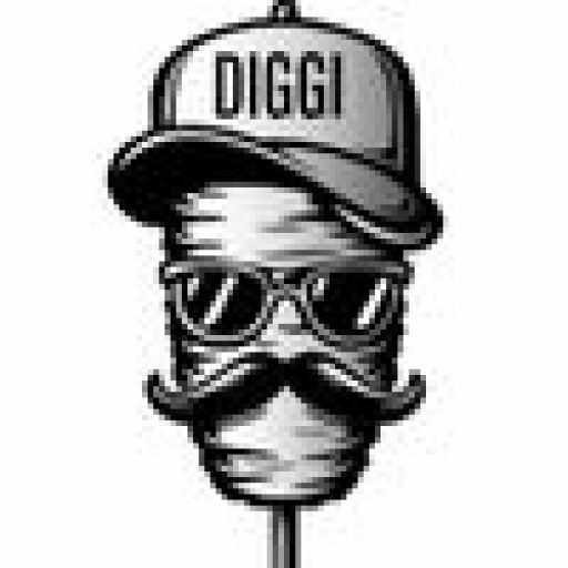 Diggi kebab